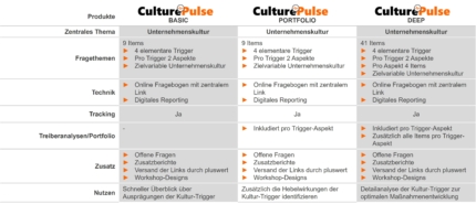 Pulse Befragungen zur Unternehmenskultur