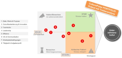 Pulse Befragungen zur Unternehmenskultur