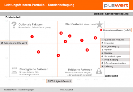 Kundenbefragungen Leistungsfaktoren-Portfolio