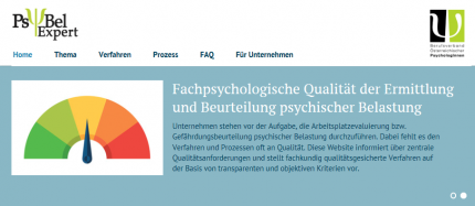 PsyBel-Expert Qualitätsverfahren